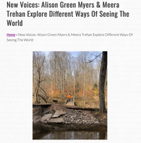 Picture of dog and people in a forest. Links to an interview with middle grade authors Alison Green Myers and Meera Trehan